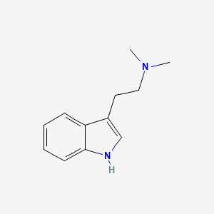 DMT